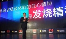 苏宁的最新爆料,揭秘苏宁易购神秘新项目，引领行业变革！